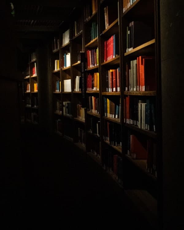 Lumières des livres