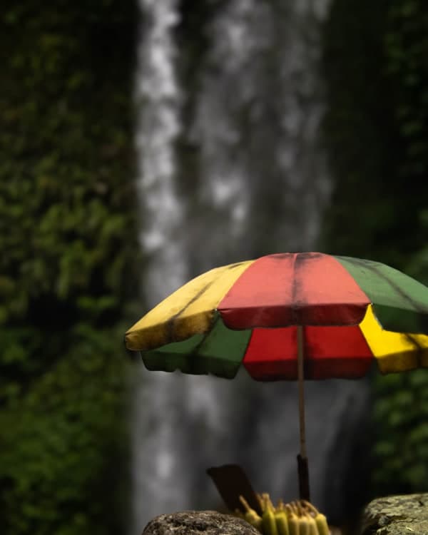 Fruits sous les cascades